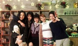 欢乐颂3全集在线观看,繁华都市的青春交响曲